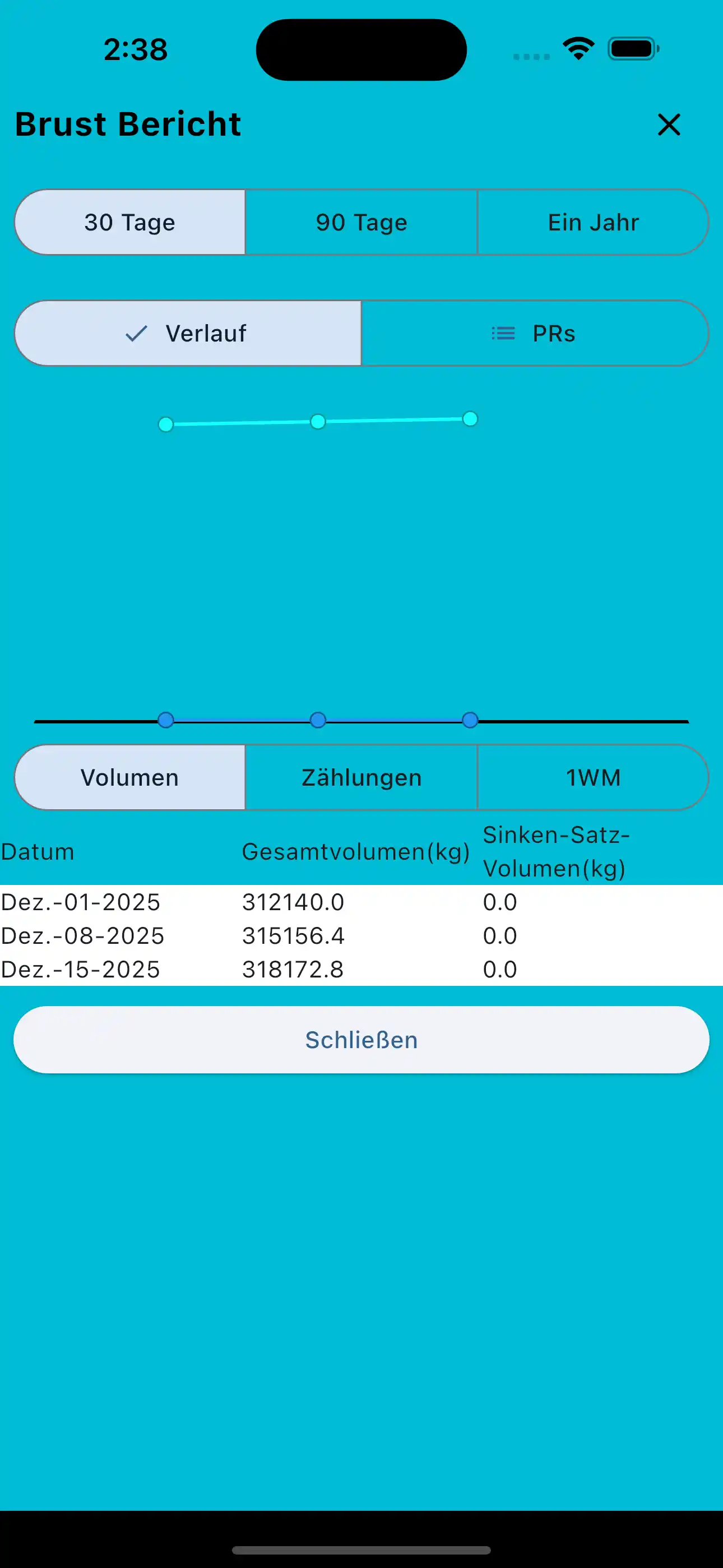 Muskelgruppenbericht Handy