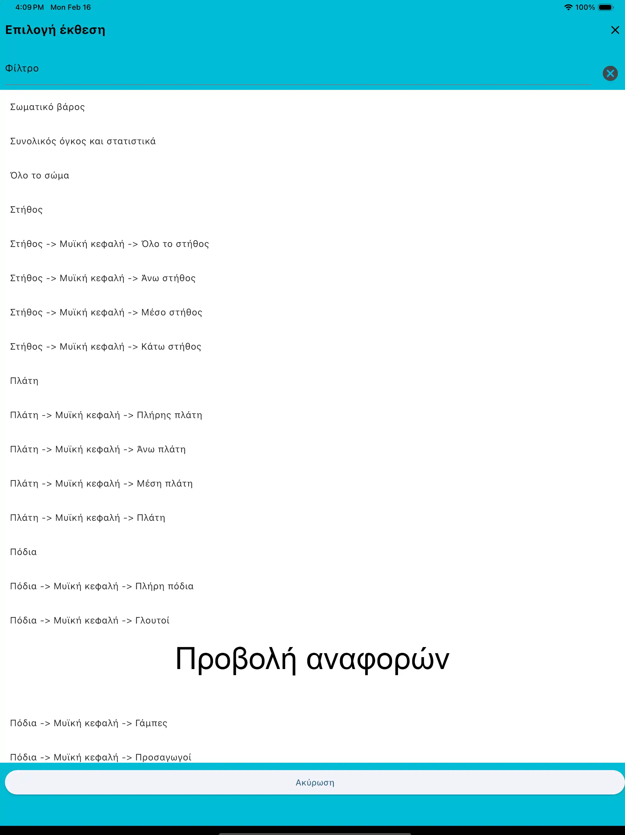 Στιγμιότυπο οθόνης Ipad