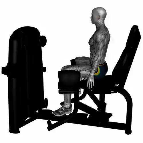 Abductor Machine
