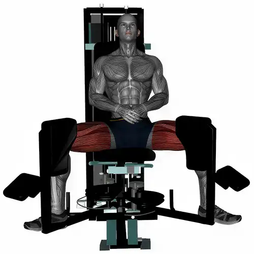 Adductor Machine