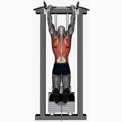 Assisted/Weighted Pull Ups