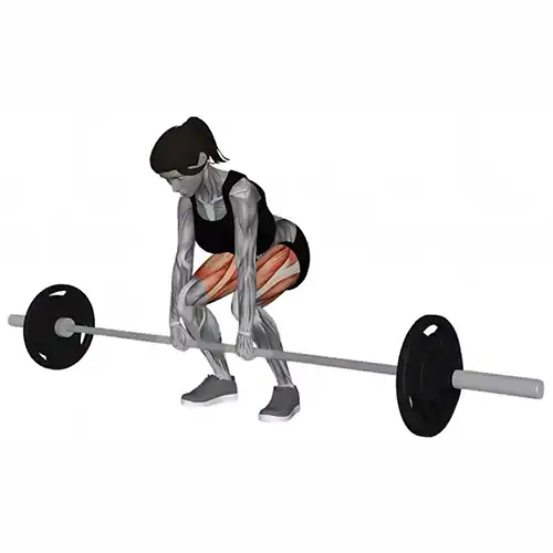 Barbell Deadlift