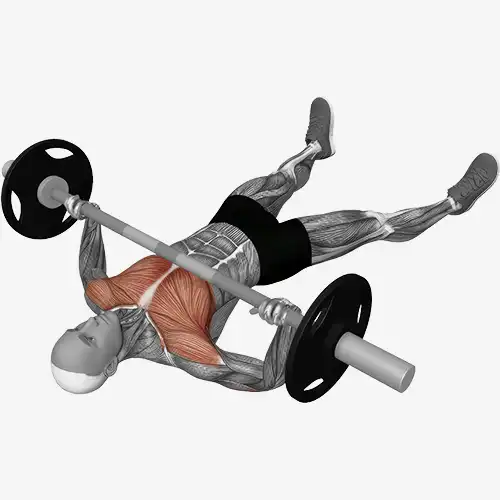 Barbell Floor Chest Press