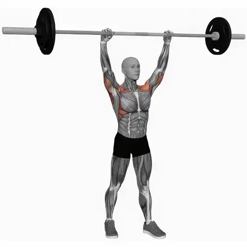 Barbell Overhead Press