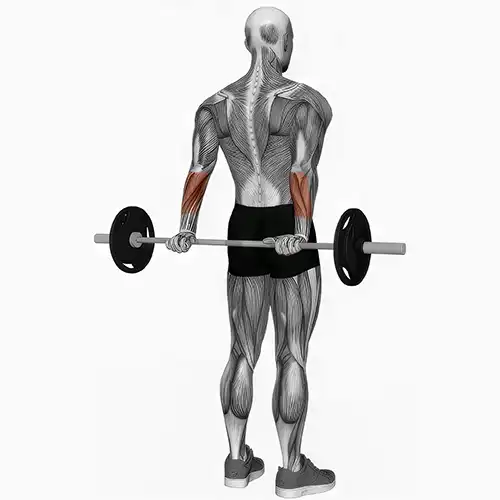 Behind The Back Wrist Curls