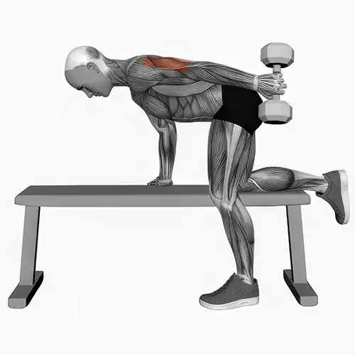 Bent Over Dumbbell Tricep Kickbacks