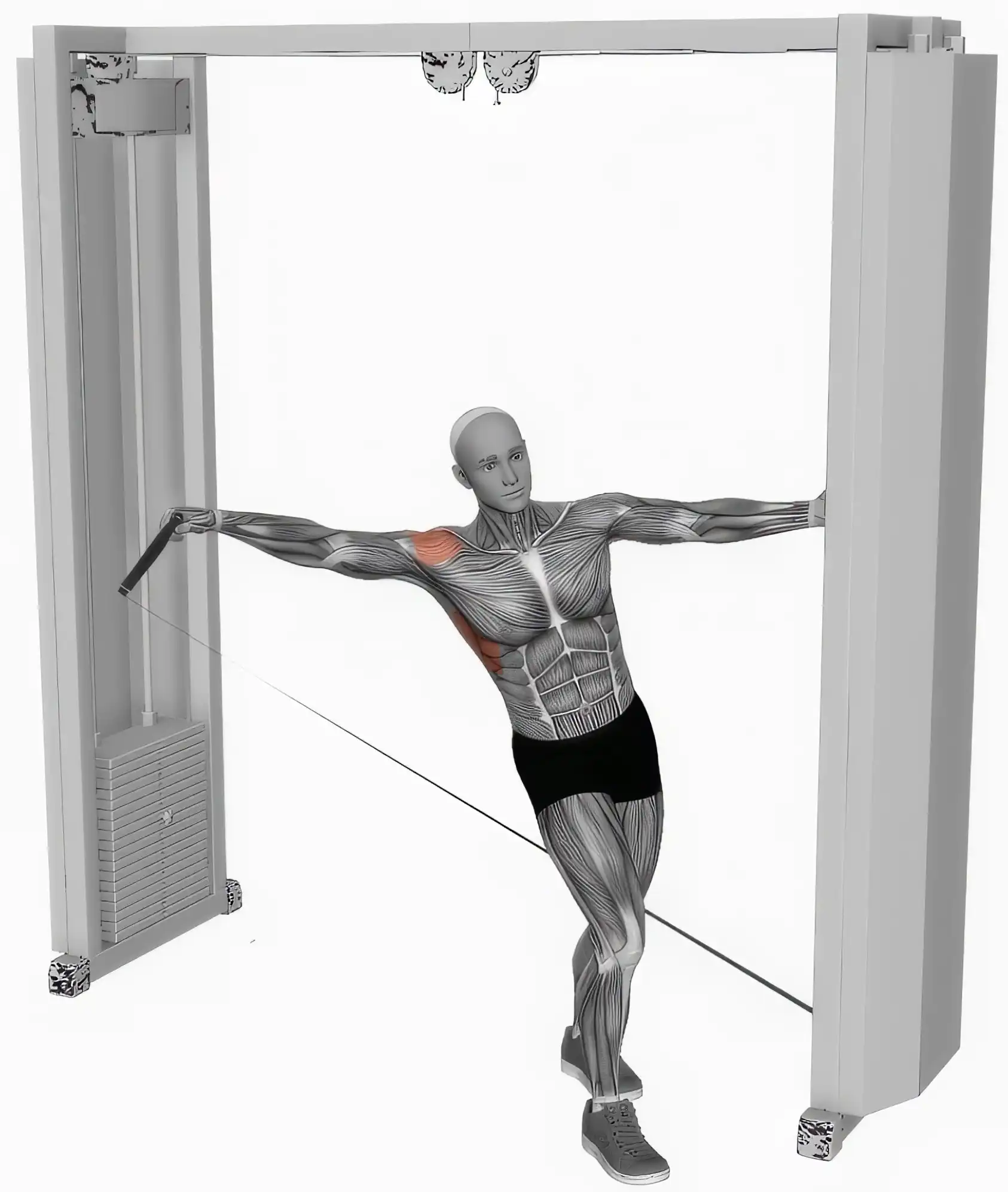 Cable Lateral Raises