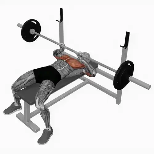 Close Grip Barbell Bench Press