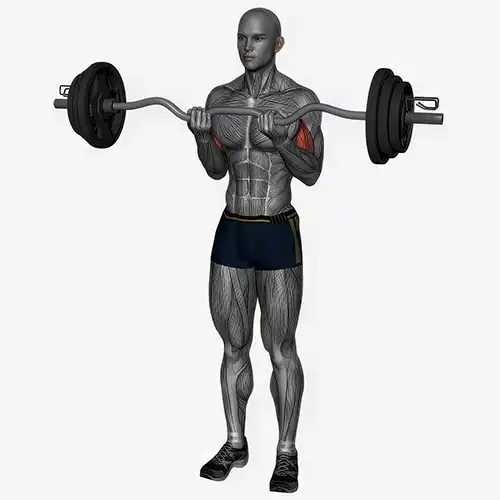 Close Grip Bicep Curls
