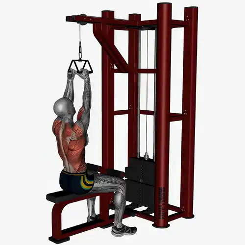 Close Grip Cable Lat Pulldown