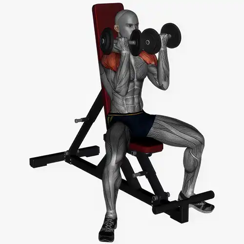 Dumbbell Arnold Press