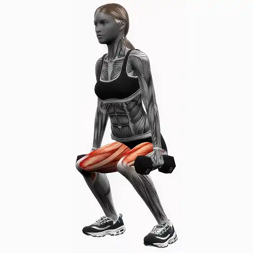 Dumbbell Squats