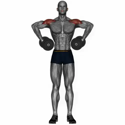 Dumbbell Suitcase Row