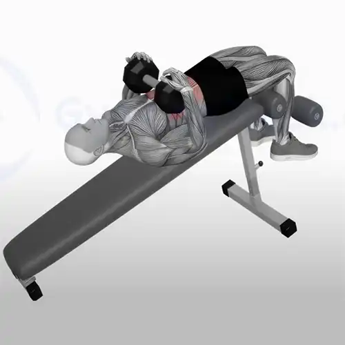 Dumbbell Weighted Sit Ups