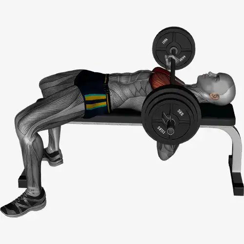 Flat Bench Barbell Chest Press