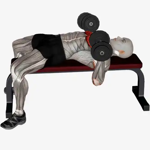 Flat Bench Dumbbell Chest Press