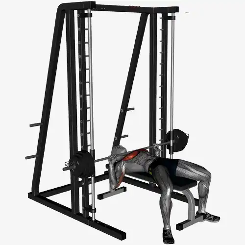 Flat Bench Smith Machine Chest Press