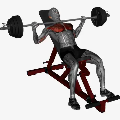 Incline Bench Barbell Chest Press