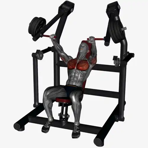 Incline Machine Chest Press