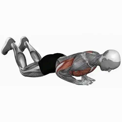 Knee Triangle Push Ups