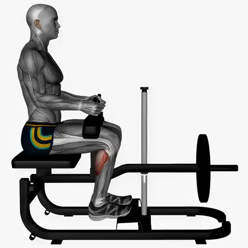 Machine Calf Raises