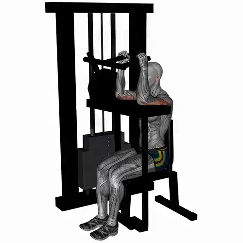 Machine Tricep Extensions