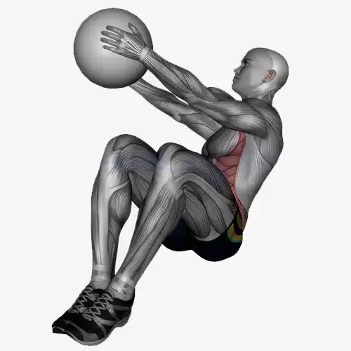 Medicine Ball Ab Twists