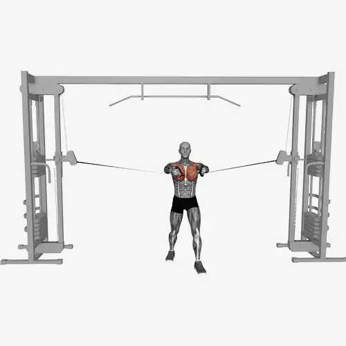 Middle Cable Chest Flys