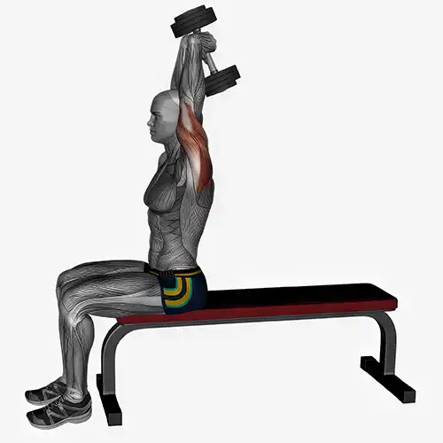 Overhead Tricep Dumbell Extensions