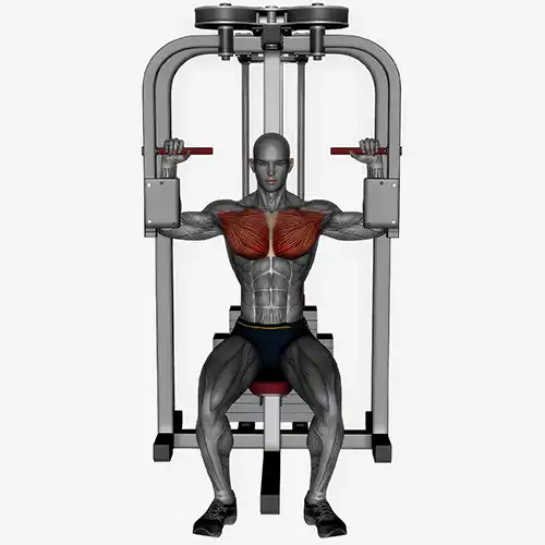 Pec Deck Fly Machine