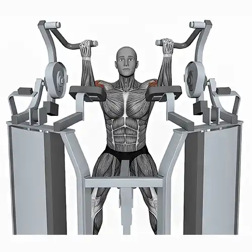 Plate Machine Bicep Curls