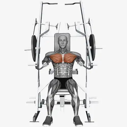 Plate Machine Chest Press