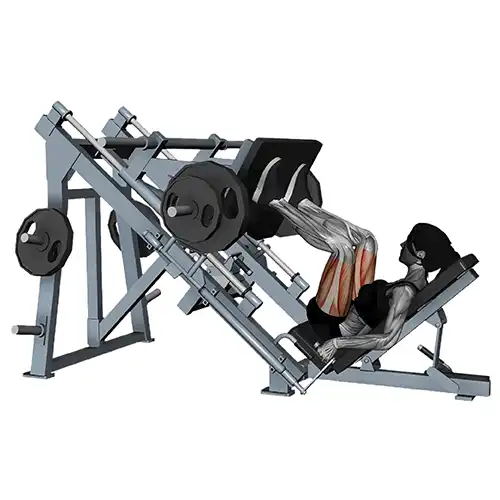 Plate Machine Leg Press