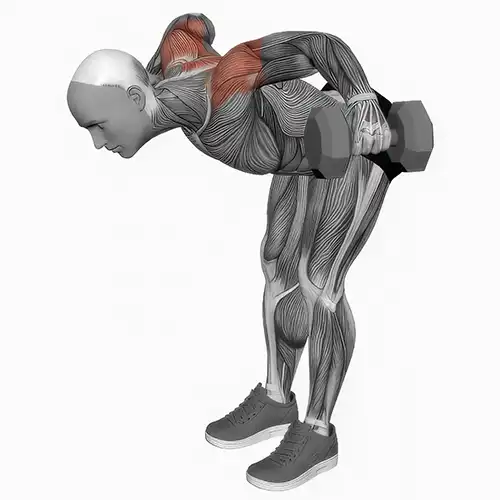 Rear Dumbbell Raises