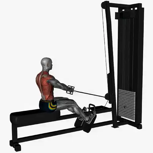 Seated Cable Rows