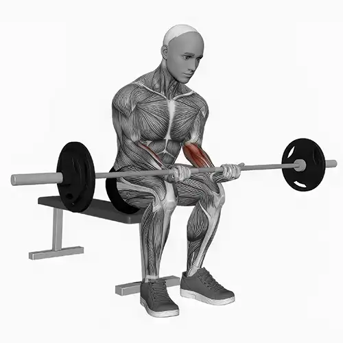 Seated Wrist Curls