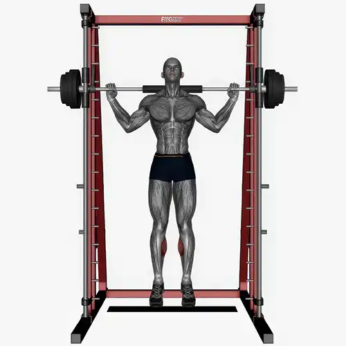 Smith Machine Calf Raises
