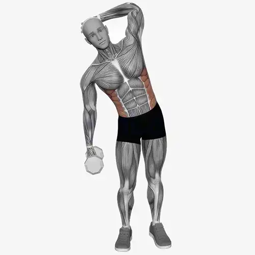 Standing Dumbbell Side Crunches