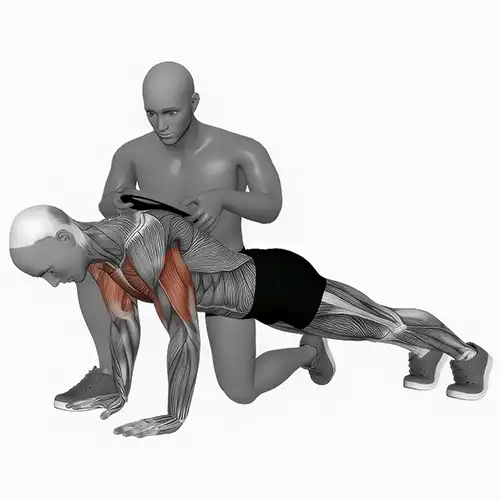 Weighted Push Ups