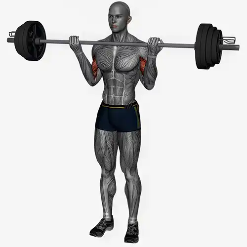 Wide Grip Barbell Curls
