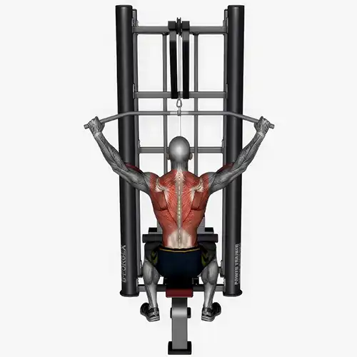 Wide Grip Cable Lat Pulldown