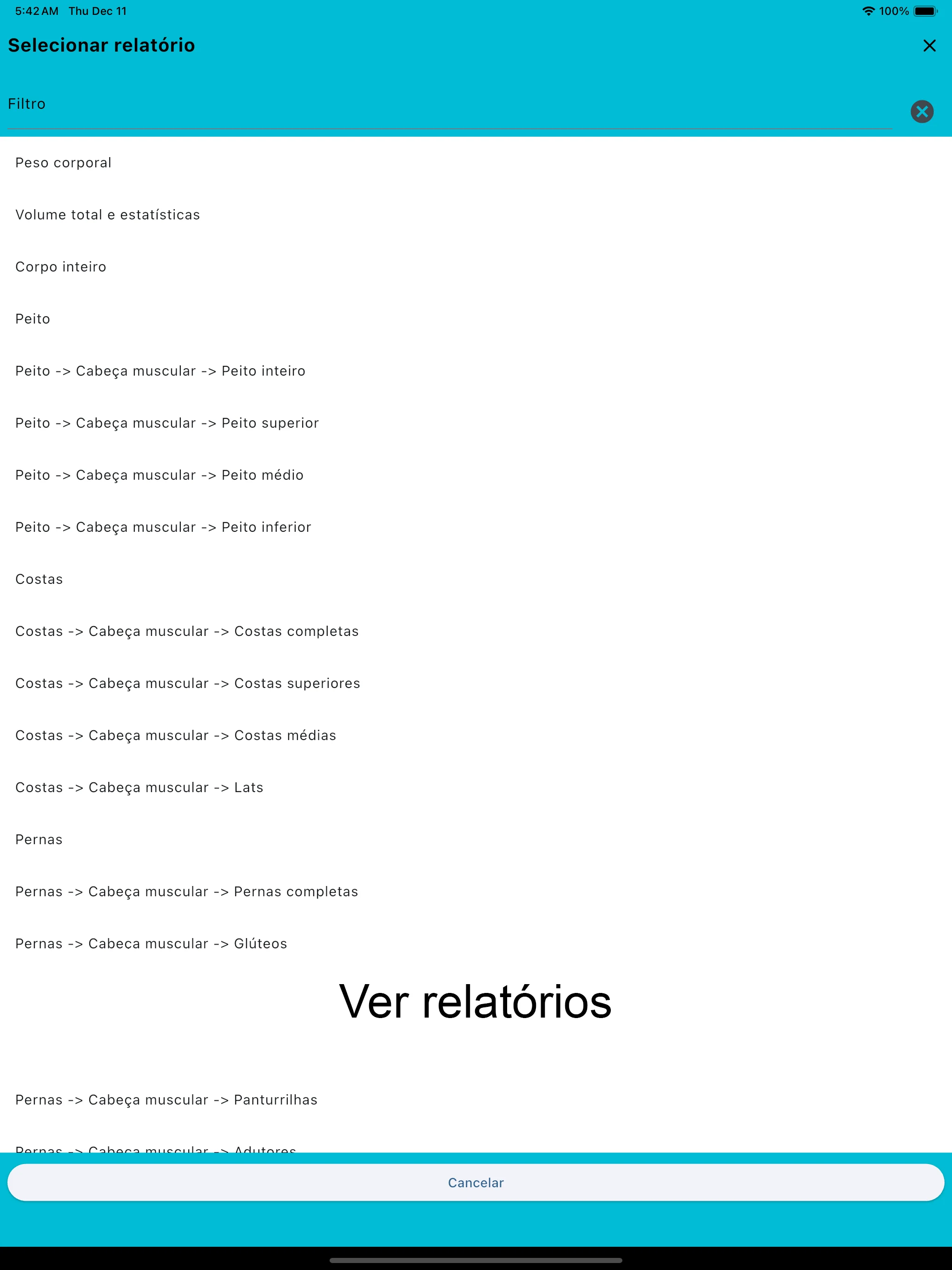 Captura de tela do iPad