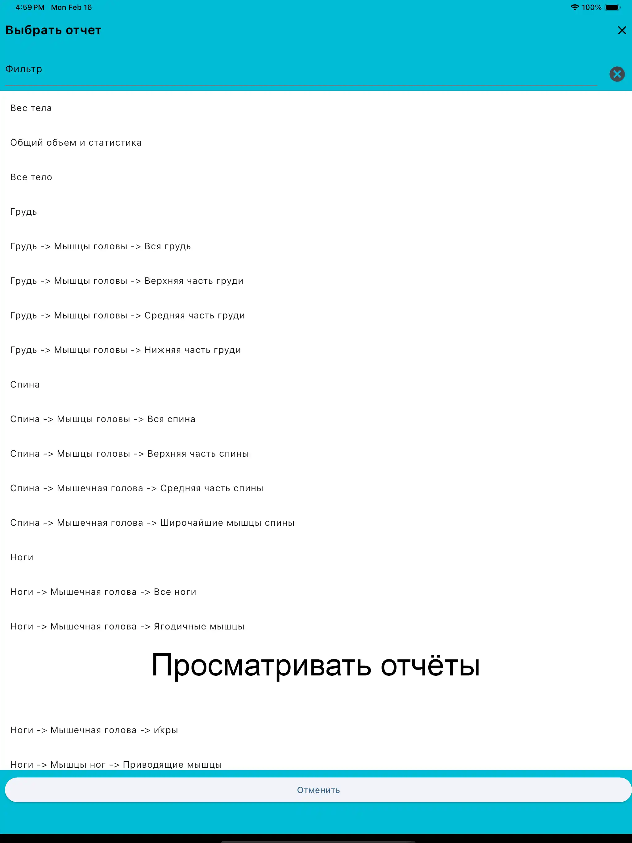 Скриншот iPad