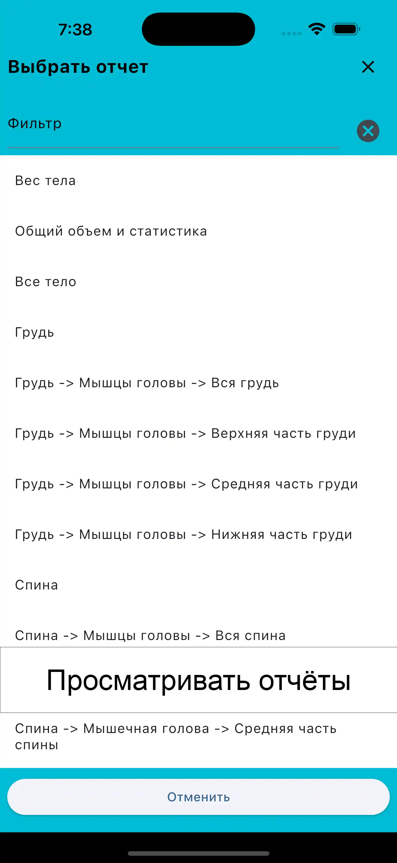 Скриншот iPhone