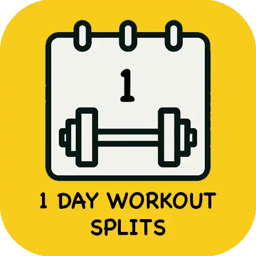 One/Single Day Workout Splits