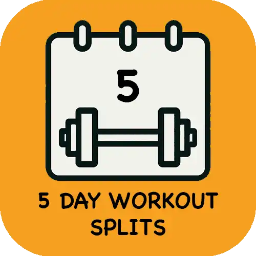 Five Day Workout Splits
