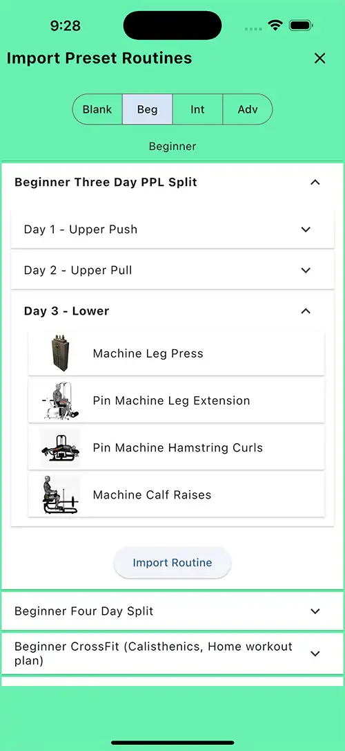 Beginner Three Day PPL Split Day 3 Lower