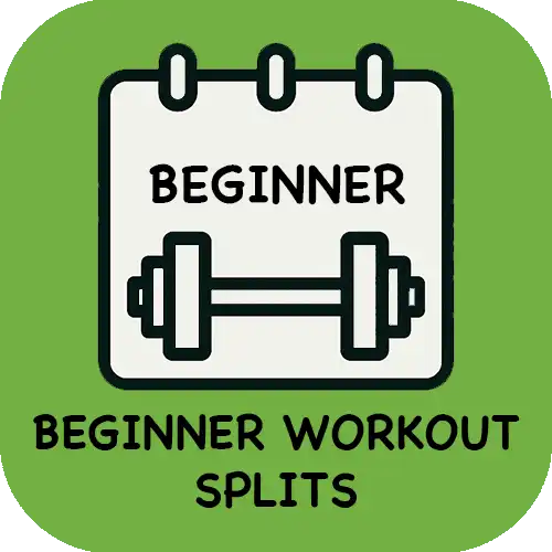 Beginner Workout Splits